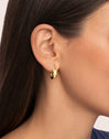 Espresso Gold Earrings 