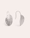 Leaf Stainless Steel Earrings