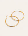 Maria L Hoops Stainless Steel Gold 