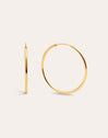 Maria L Hoops Stainless Steel Gold 