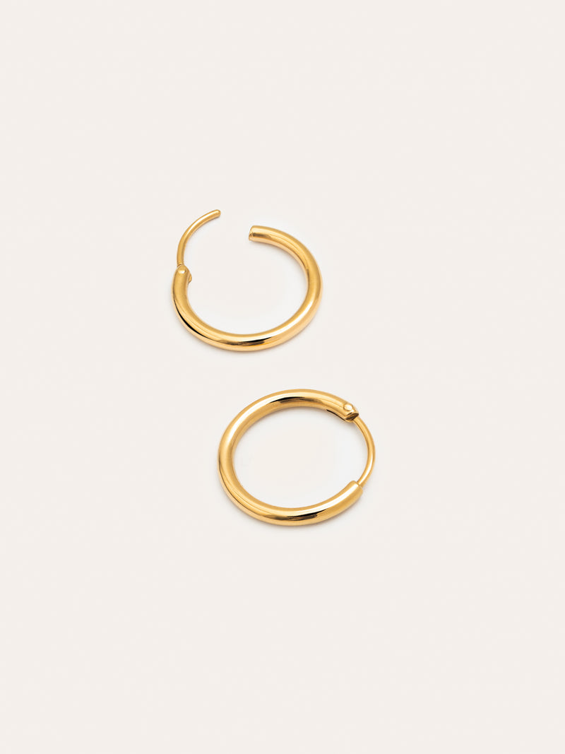 Maria S Stainless Steel Gold Earrings 