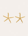 Pendientes Maxi Starfish Acero Baño Oro