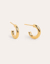 Nai Gold Hoop Earrings 
