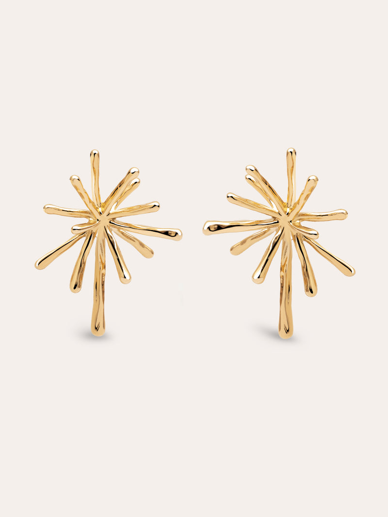 Nova Stainless Steel Gold Earrings 