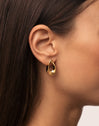 Wave Stainless Steel Gold Earrings