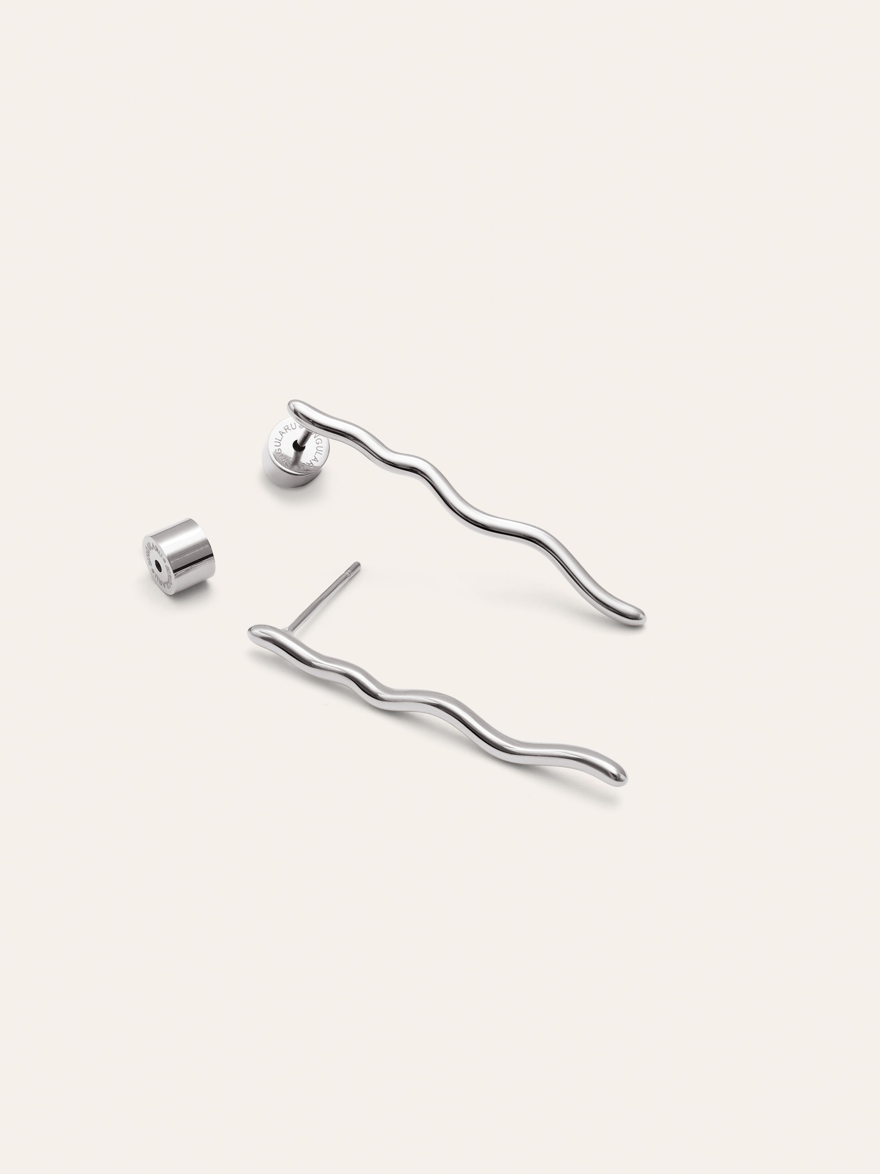 Snake Stainless Steel Earrings