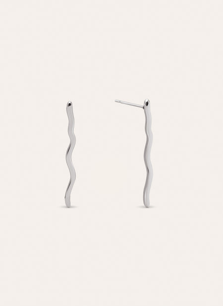 Snake Stainless Steel Earrings