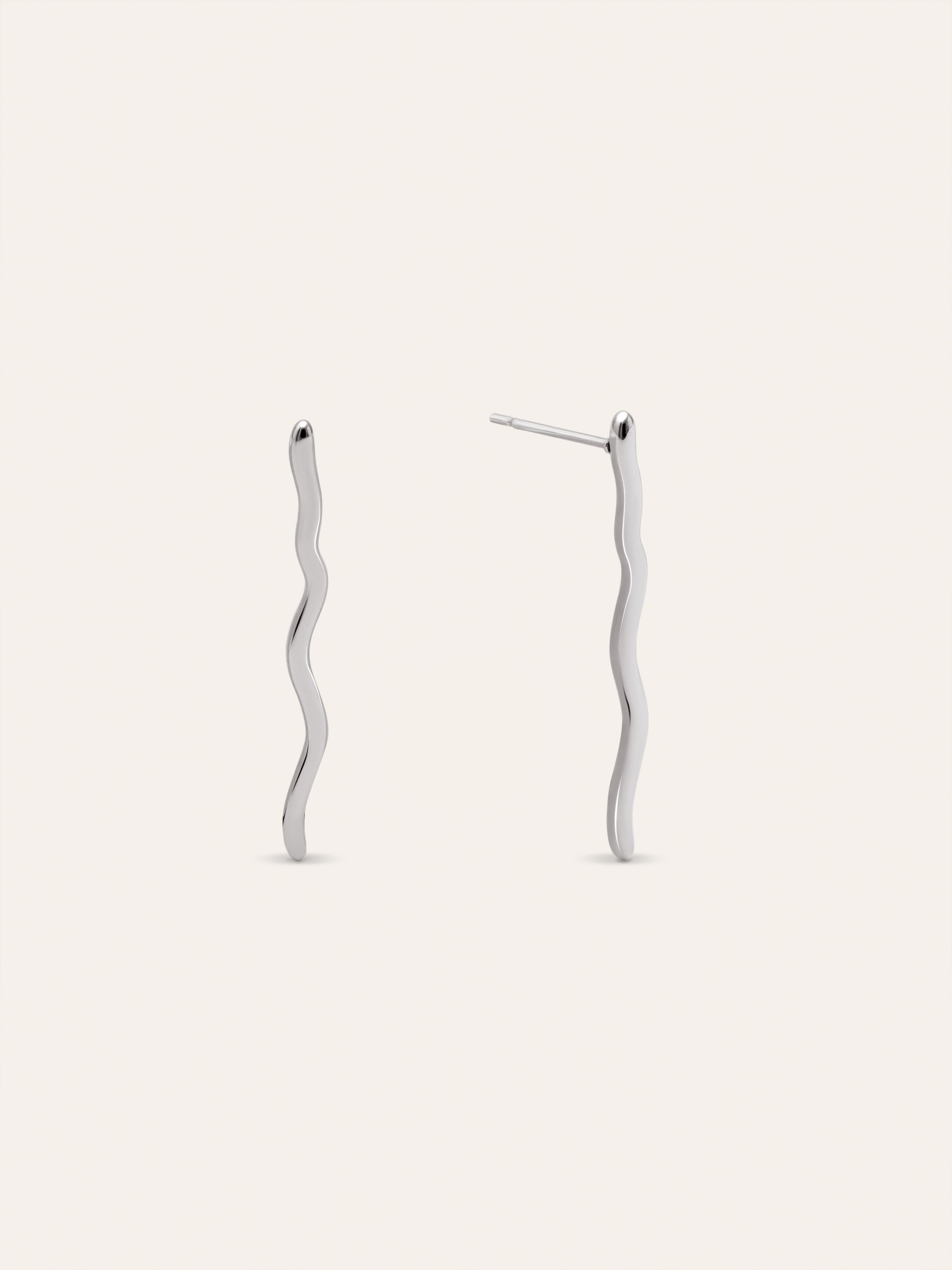 Snake Stainless Steel Earrings
