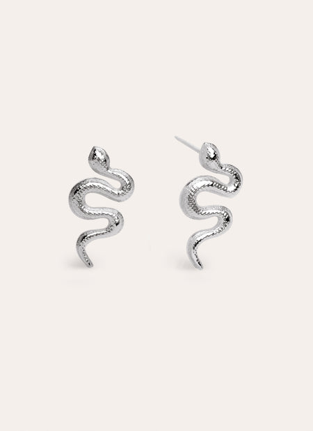 Snake Stainless Steel Earrings