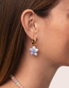 Starfish Blue Stainless Steel Gold Earrings