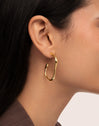 Vento Stainless Steel Gold Earrings 