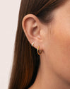 Single Hoop Earring Cleo S Gold Plated