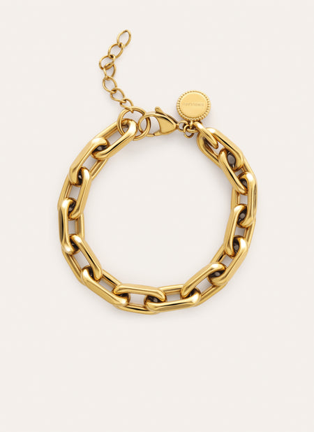 Pulsera Big Link Acero Baño Oro