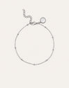 Dots Stainless Steel 