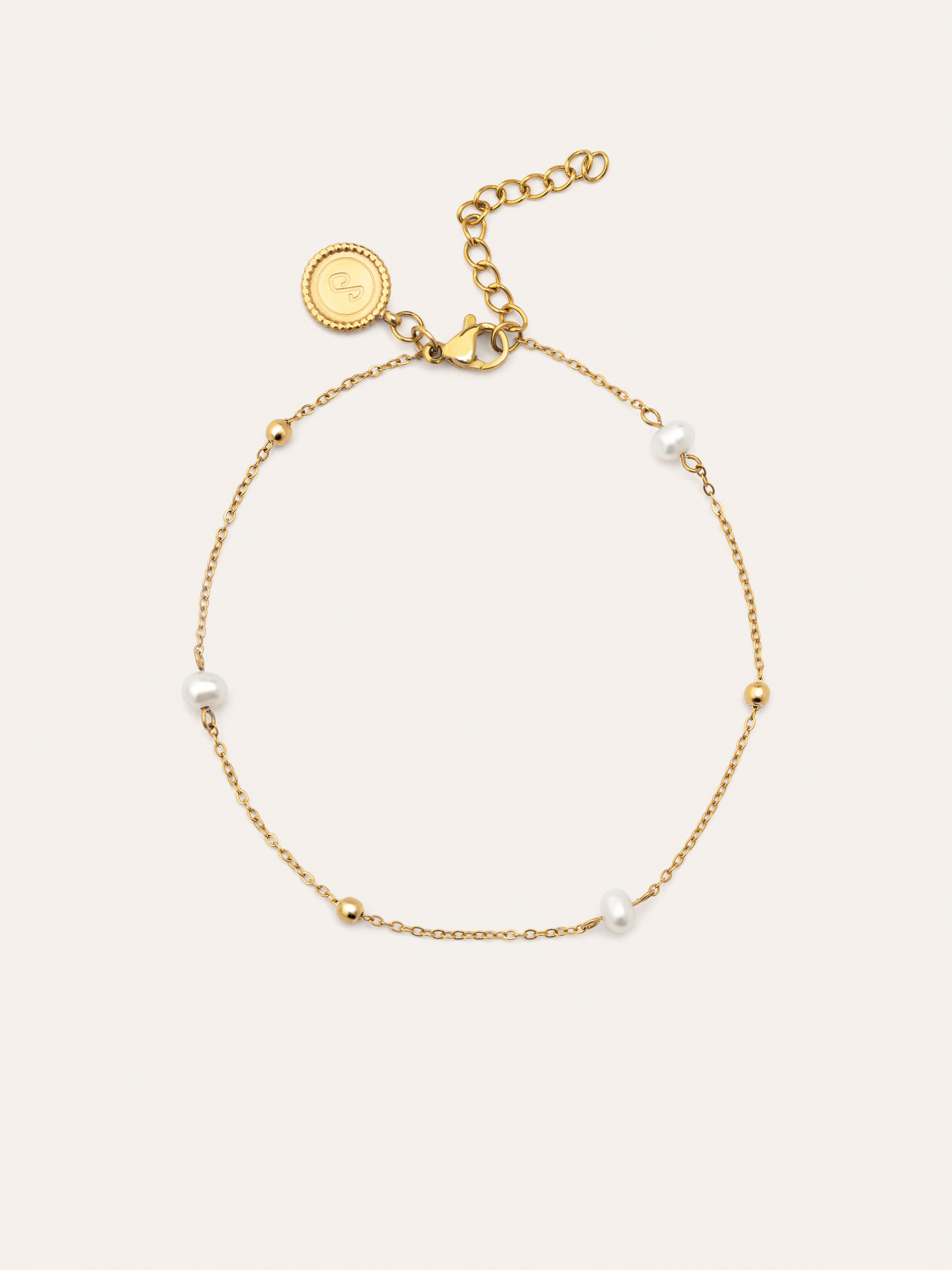 Swan Stainless Steel Gold Anklet