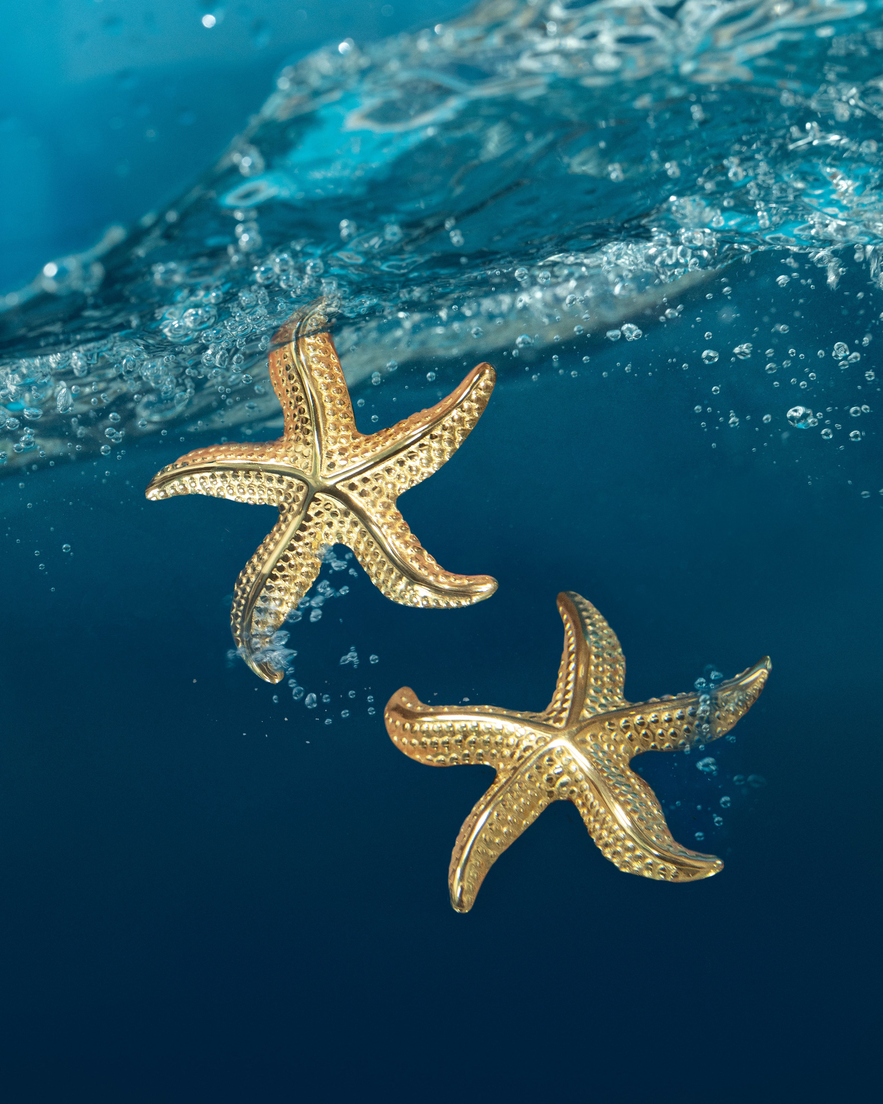 Starfish Stainless Steel Gold Earrings 