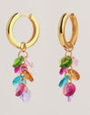 Candy Colors Gold Earrings 