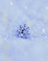 Snowflake Silver Single Earring