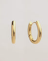 Samba Stainless Steel Gold Earrings 