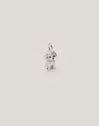Charm Caniche Toy - vista 6