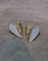 Earrings Mussel Enamel Steel 18kt Gold Plated