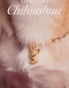 Charm Chihuahua - vista 7