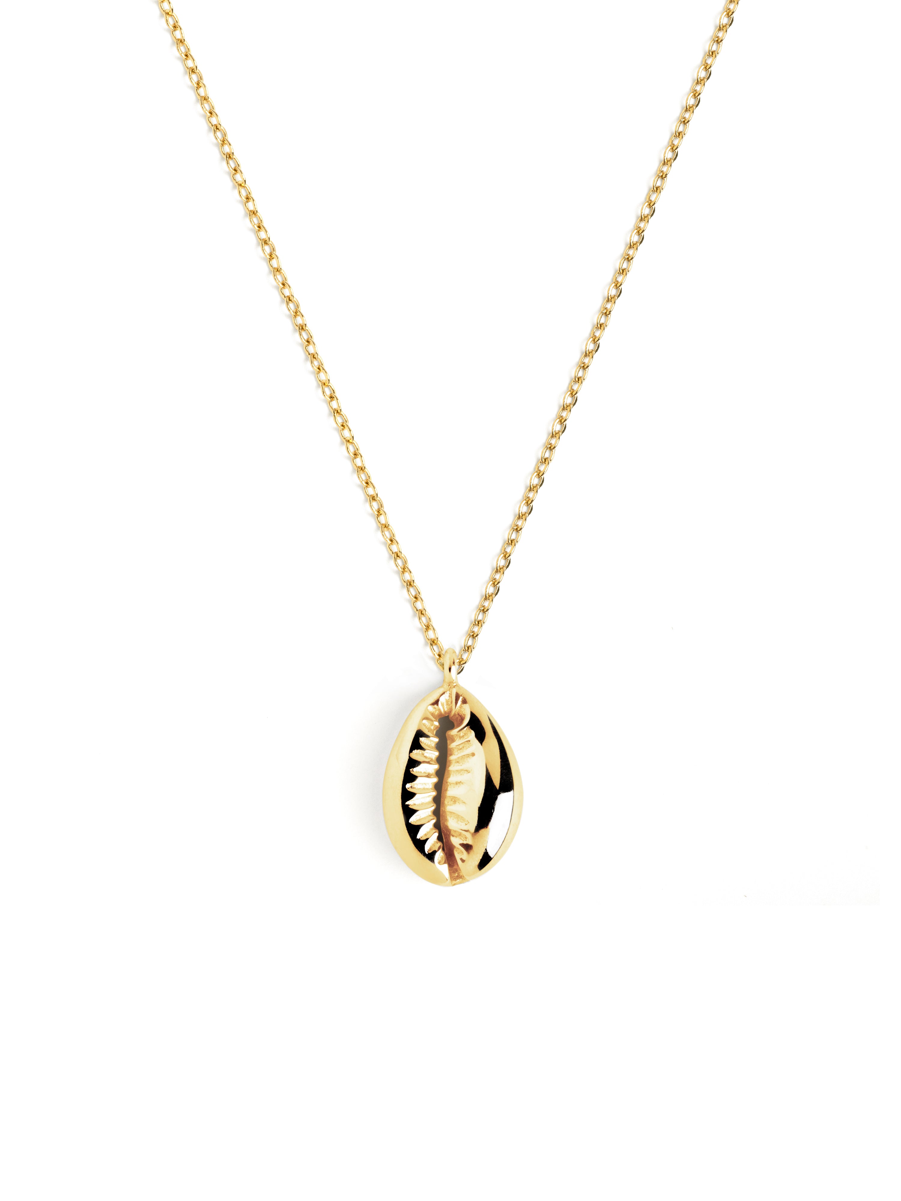 Collar Seashell Oro