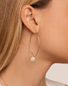 Arch Bean Pearl Gold Earrings 